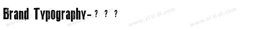 Brand Typography字体转换 Brand Typography字体转换